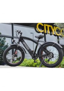 Citycoco Fatbike 250W Elektrikli Bisiklet